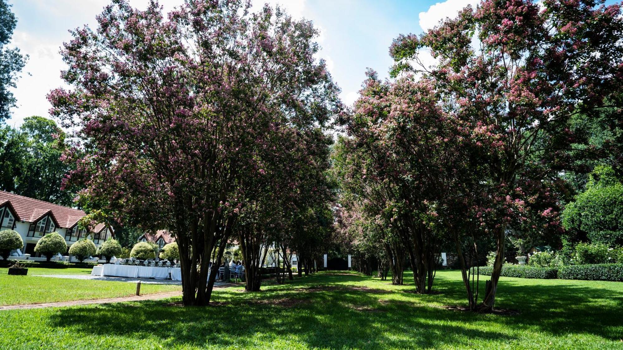 River Meadow Manor Centurion Dış mekan fotoğraf
